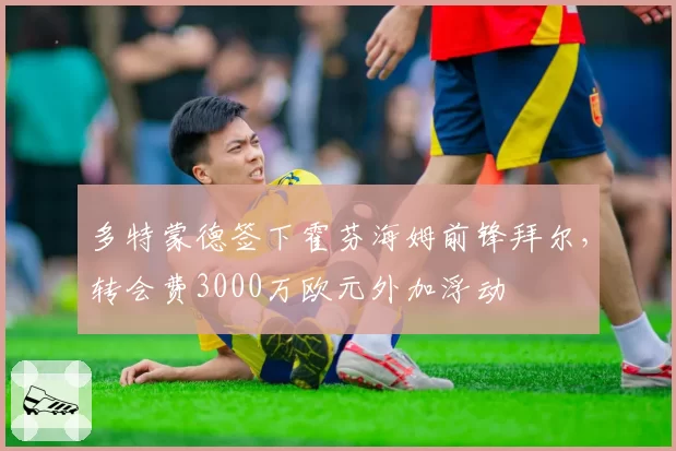 多特蒙德签下霍芬海姆前锋拜尔,转会费3000万欧元外加浮动