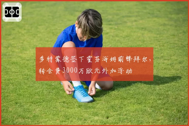 多特蒙德签下霍芬海姆前锋拜尔,转会费3000万欧元外加浮动