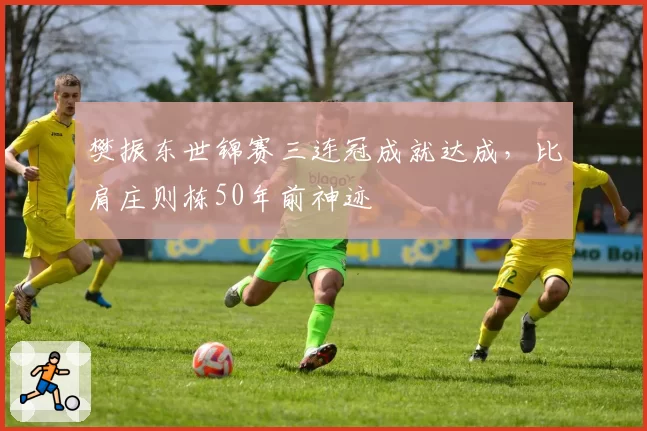 樊振东世锦赛三连冠成就达成，比肩庄则栋50年前神迹