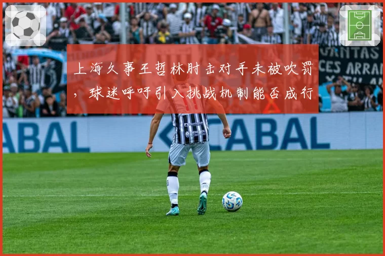 上海久事王哲林肘击对手未被吹罚,球迷呼吁引入挑战机制能否成行?