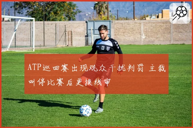 ATP巡回赛出现观众干扰判罚 主裁叫停比赛后更换线审